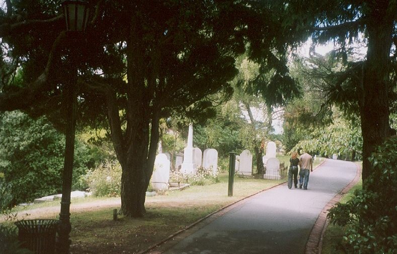 Rows of headstones at the Jewish cemetery in Wellington